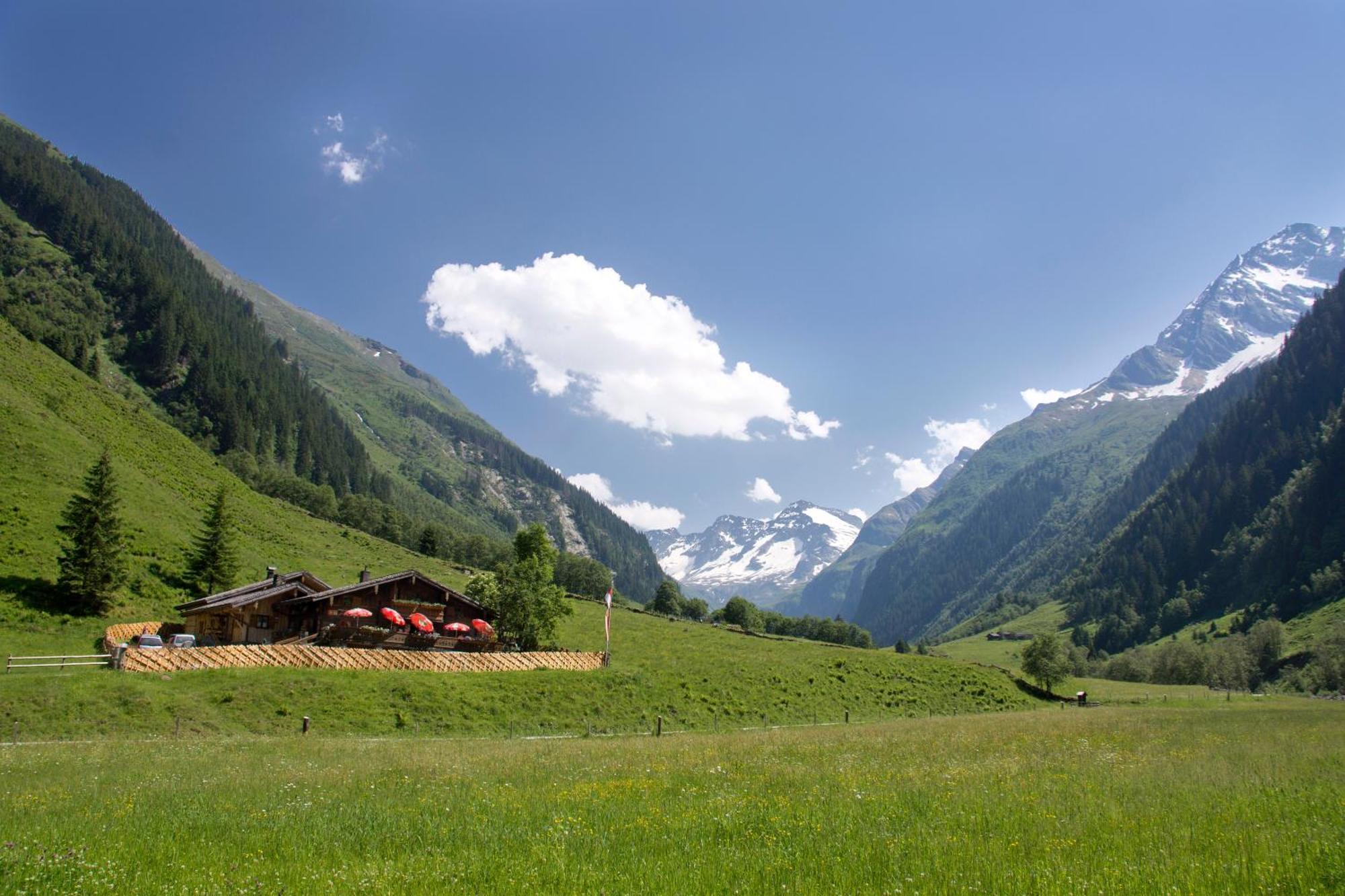 Bed and Breakfast Senninger Alm Холлерсбах  Экстерьер фото