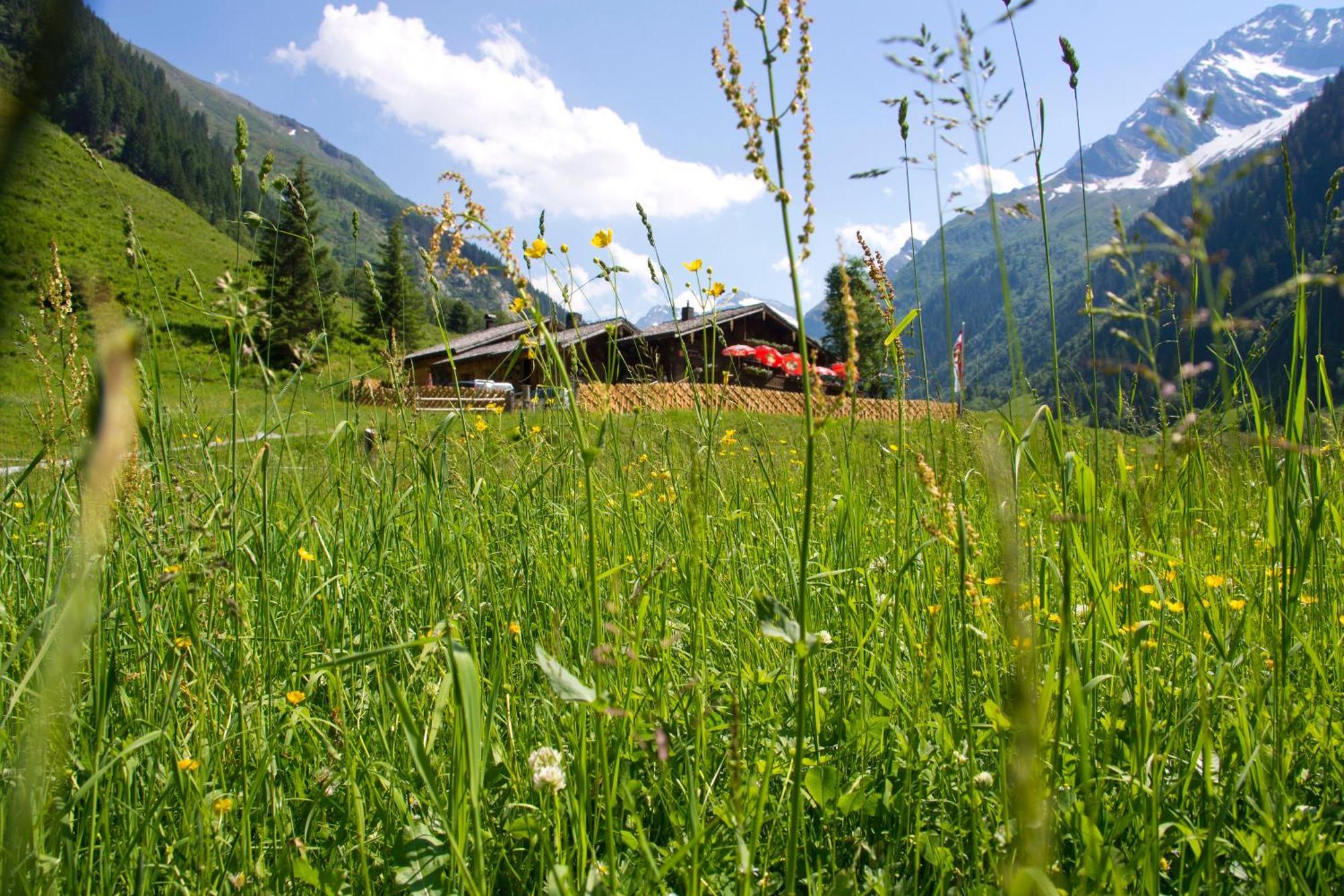 Bed and Breakfast Senninger Alm Холлерсбах  Экстерьер фото
